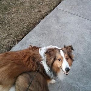 jackson 1yr