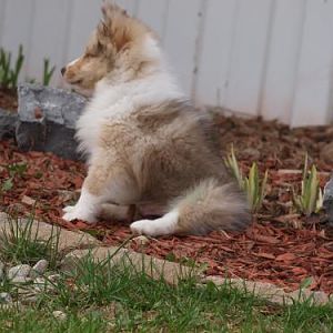 20140503 6