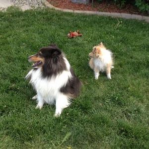 Me and my shadow!