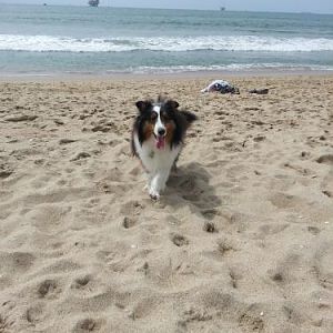 Echo at Dog Beach
Huntington Beach, CA