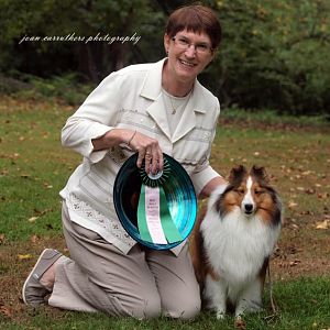 Ruffles ~ Best in Show
Greenwich KC All-Breed Match
Sept. 13, 2014