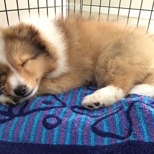 McGee at 10 weeks