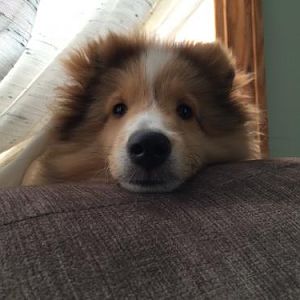 Face!