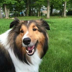 Happy boy