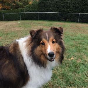 Hi!