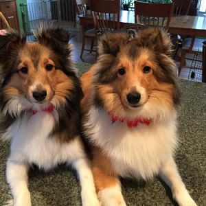 Hey mommy we're ready to go