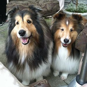 Chance and Logan