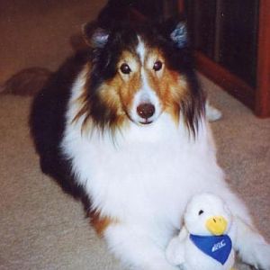 Kelsey with Aflac
