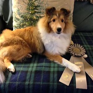 Sprite's First Ribbon   Group 4!