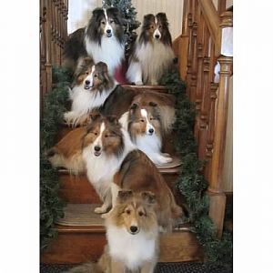 2015 Christmas Card