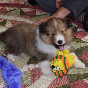 Jake at 6 weeks