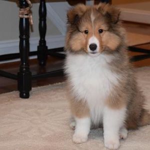 Jake at 12 weeks