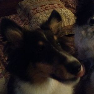 20170531_072319