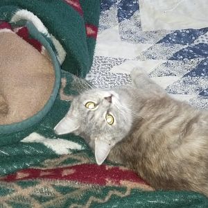 2012-12-29_15-23-45_901