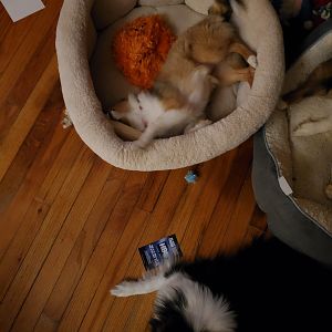 20190327_205320
