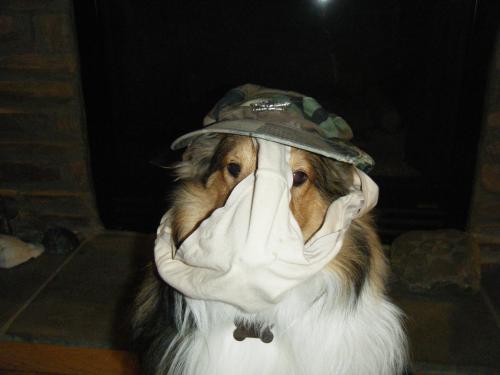 Colonel Underpants